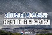 제11호 태풍'힌남노'총력대응